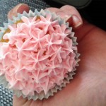 Betty Crocker Cupcake Icing