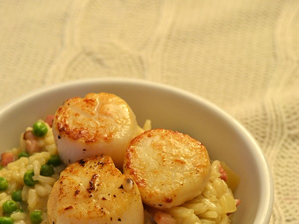 Risotto met gebakken coquilles