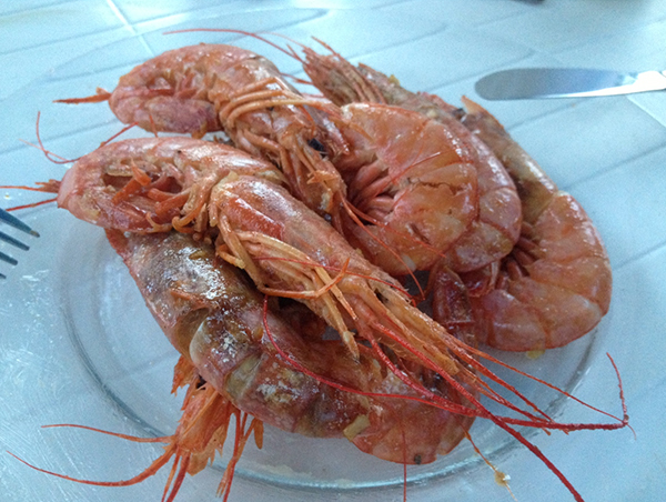 gamba