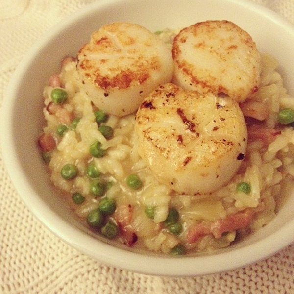 risotto met gebakken coquilles