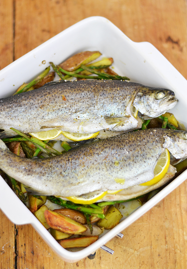 Forel uit de oven