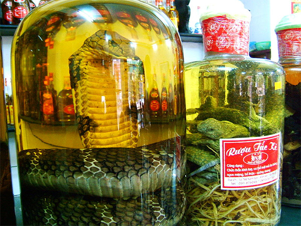 snake wine