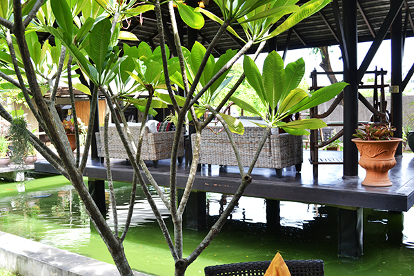 snapshot_diary_thailand3-4