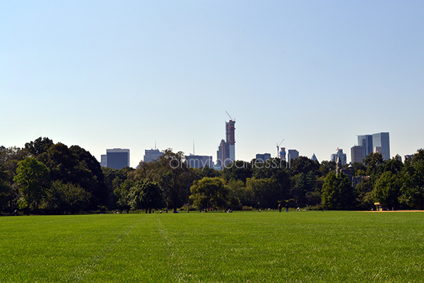 Central Park