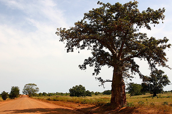 Gambia