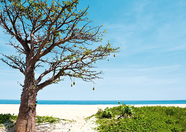 Gambia