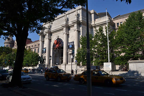 Natural History Museum