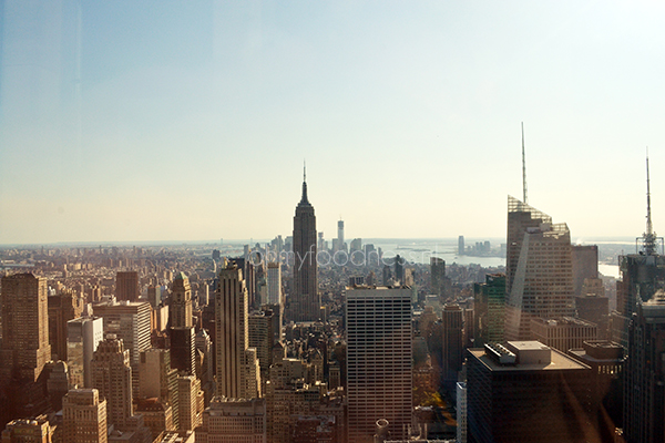 Top of the Rock