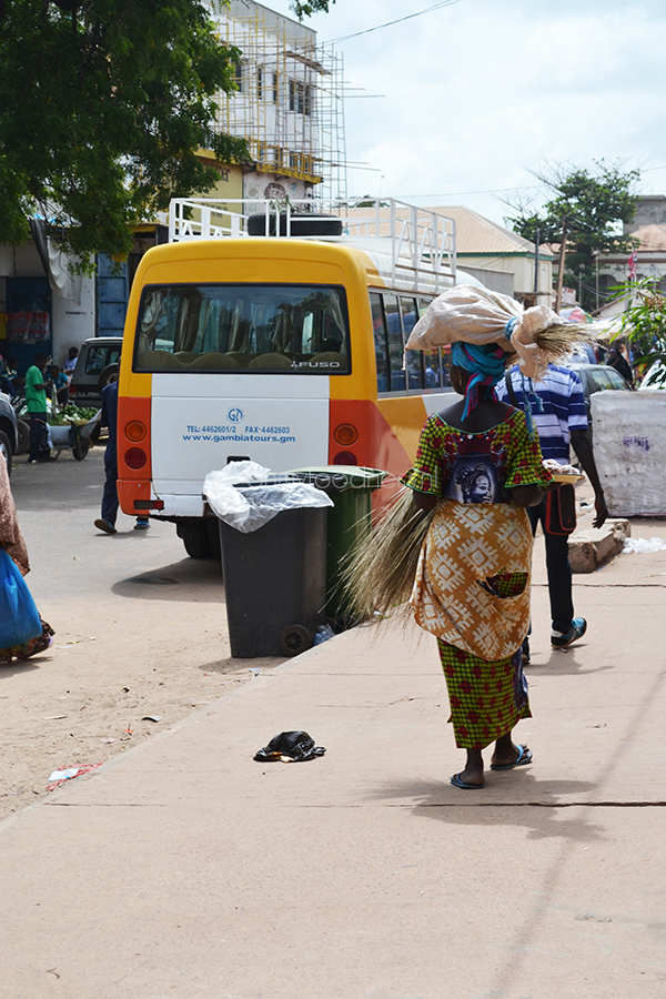 snapshots_uit_gambia1