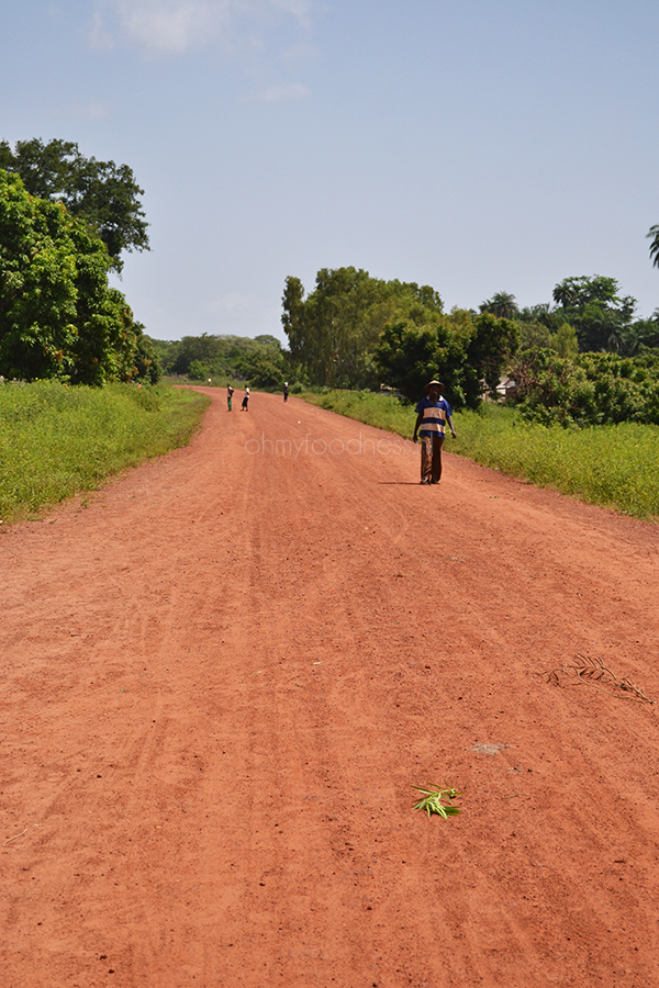 snapshots_uit_gambia6