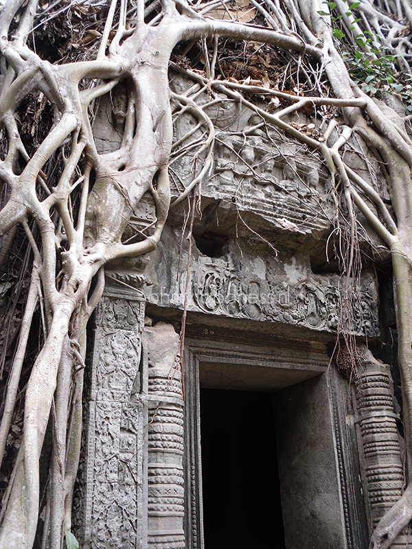 Angkor