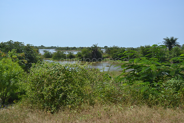 Op vakantie naar Gambia, dit moet je weten