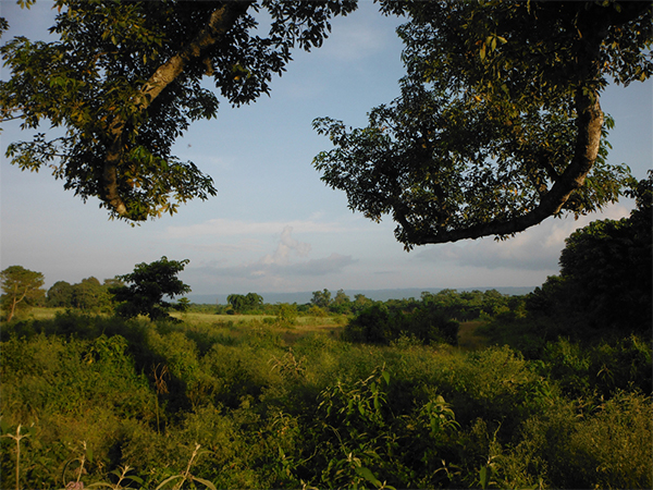 Chitwan National Park