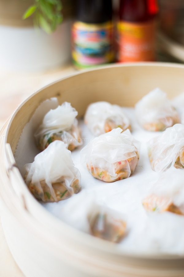 Makkelijke dimsum met garnalen