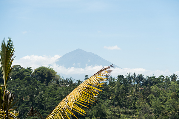 bali_in_beeld9