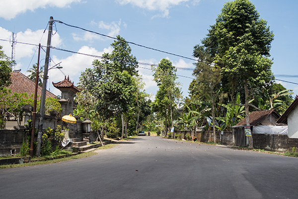 Must do op Bali: Mountainbiken