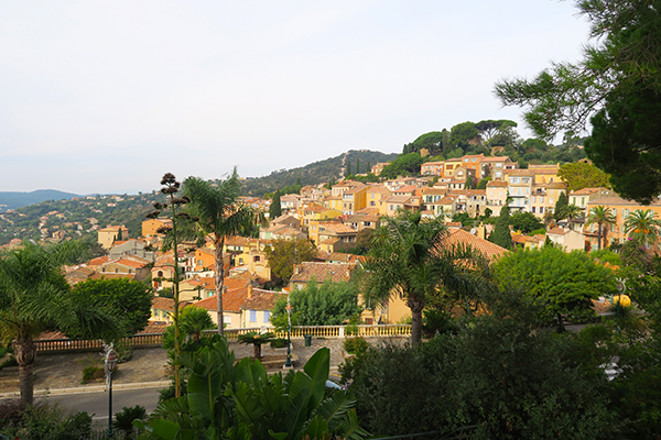 Bormes Les Mimosas