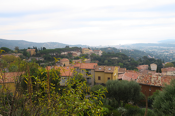 Bormes Les Mimosas