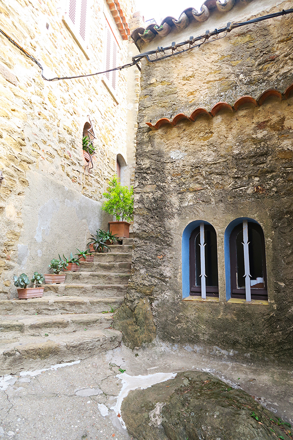 Bormes Les Mimosas