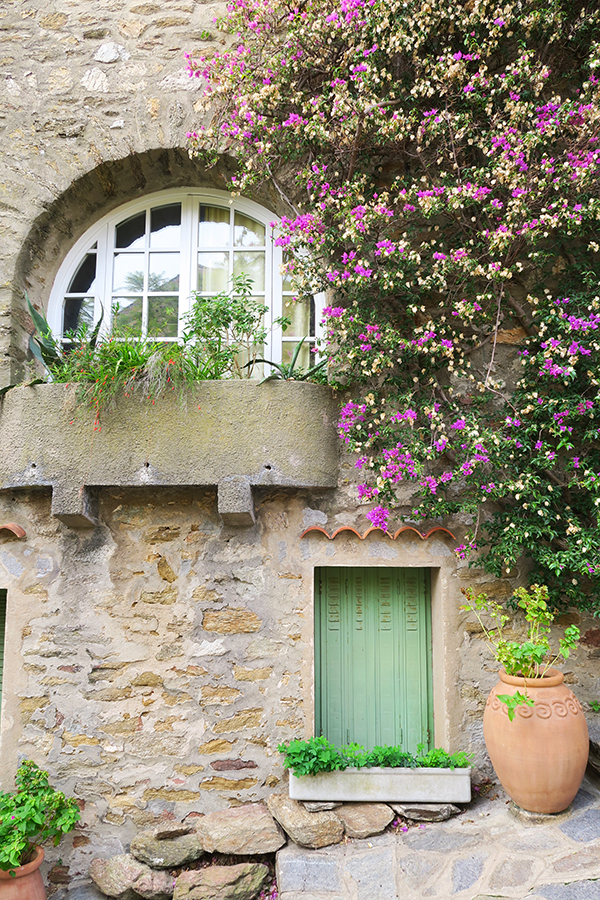 Bormes Les Mimosas