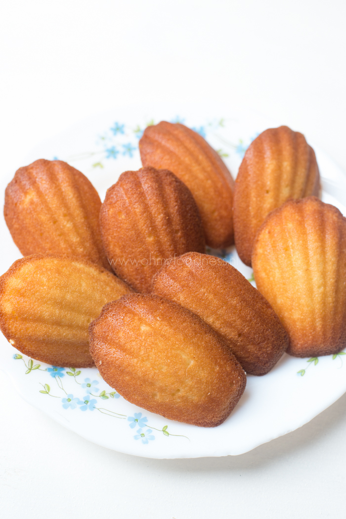 Vlierbloesem madeleines