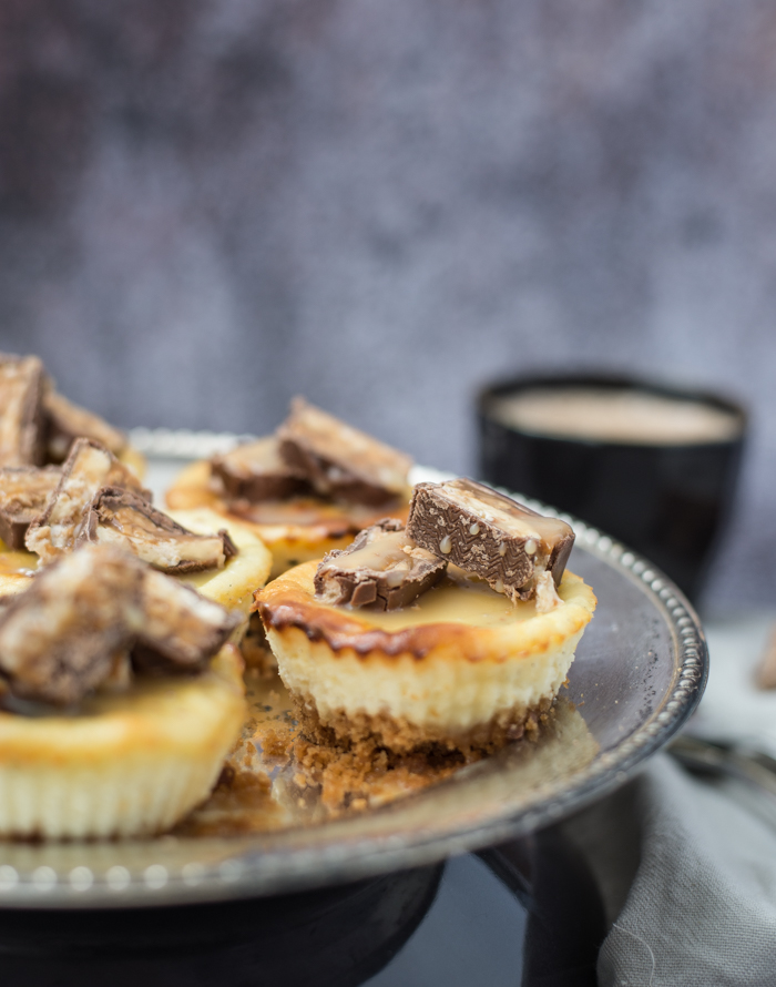 Mini Snickers Cheesecake