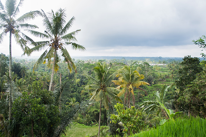 bali