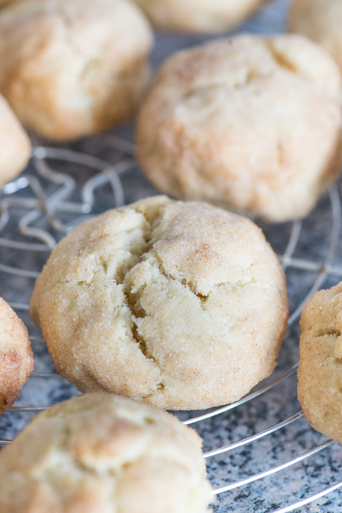 Snickerdoodles