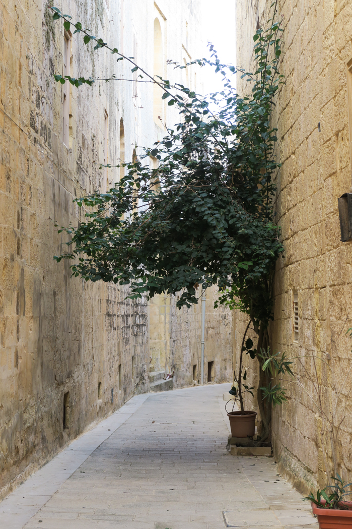 Mdina