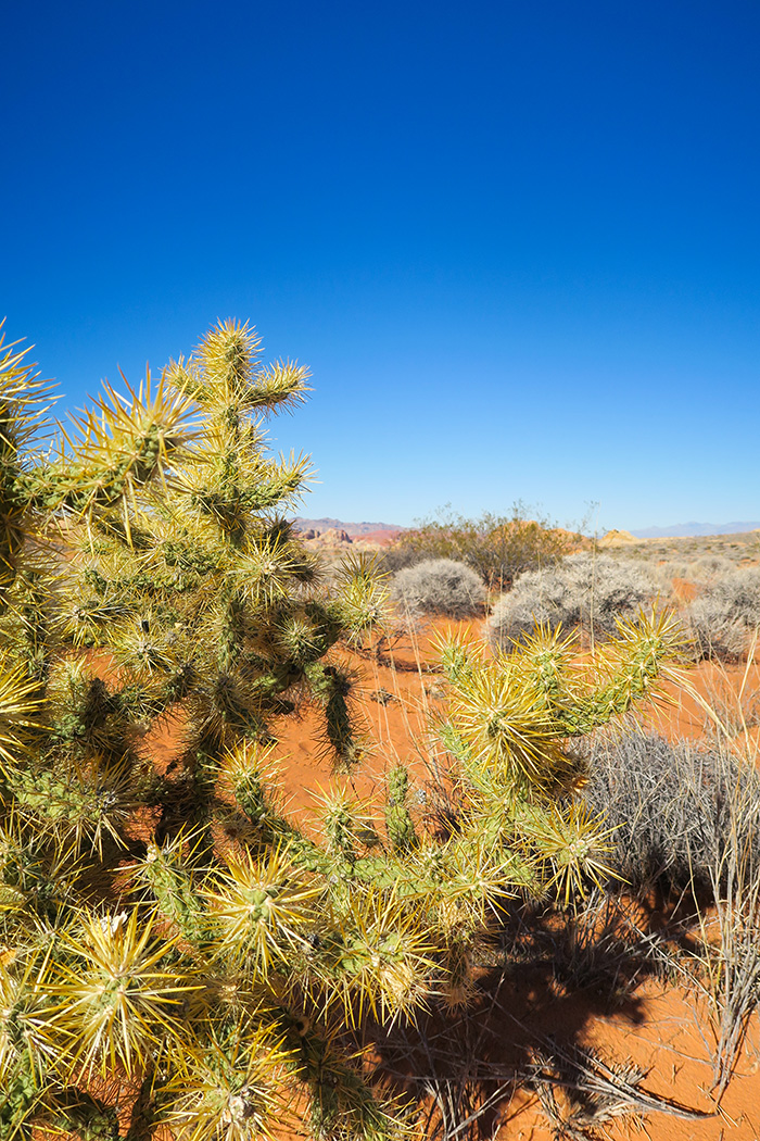 Valley of Fire 