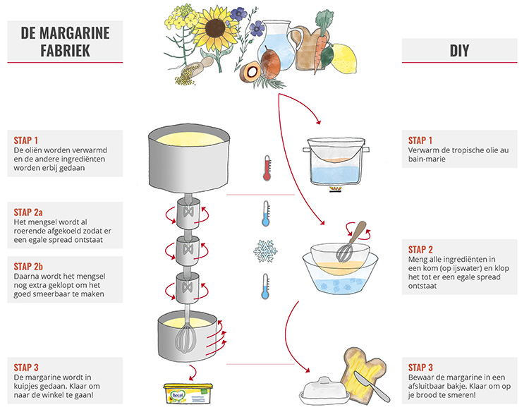 Infographic margarine maken