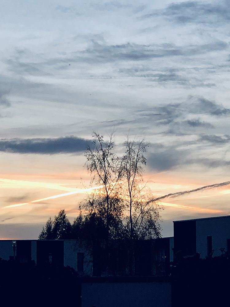 foto10 1