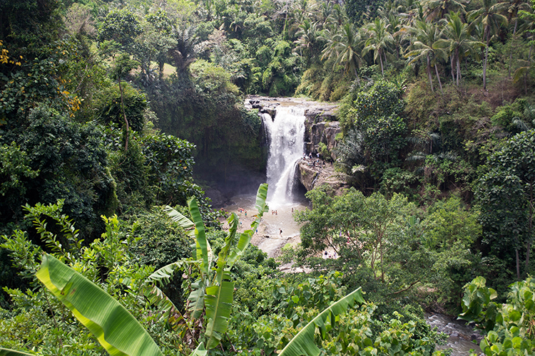 Bali 2015