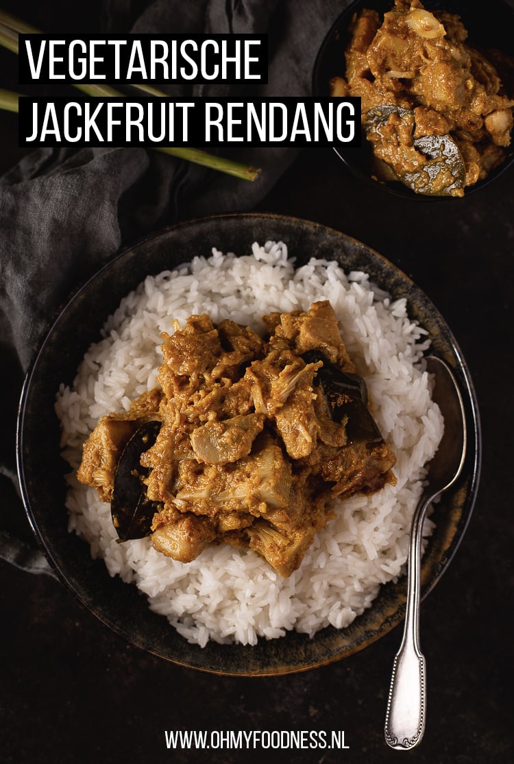 Vegetarische rendang van jackfruit