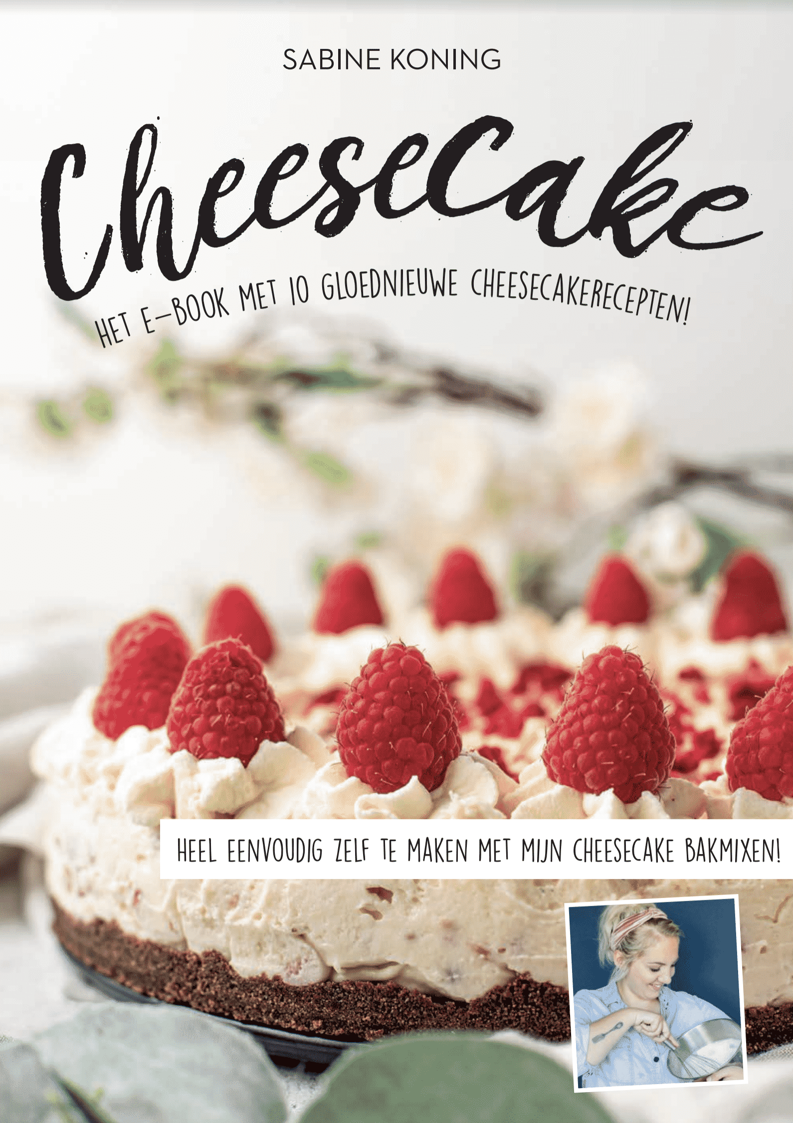 Cheesecake E-book